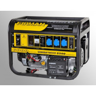 Бензиновый генератор Firman FPG8800E2